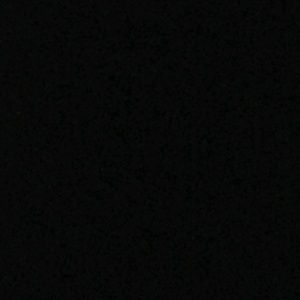 Meet your Posher, Jessie